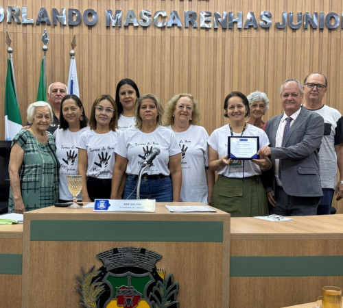 Turma do Bem é homenageada pela Câmara Municipal