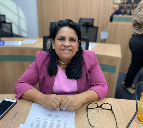 Patricia da Saúde apresenta indicações voltadas à infraestrutura e segurança no trânsito