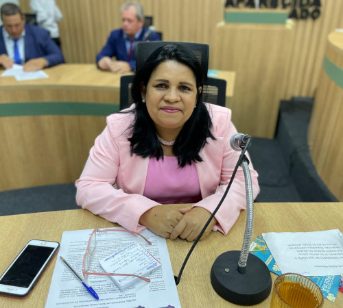 Patricia da Sa&uacute;de prop&otilde;e instala&ccedil;&atilde;o de lixeiras na Rua Duque de Caxias para refor&ccedil;ar limpeza urbana e consci&ecirc;ncia ambiental