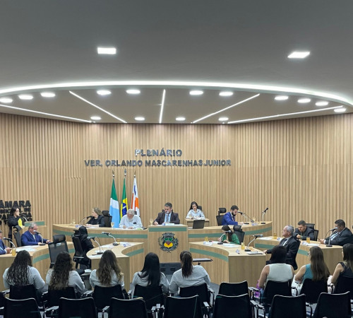 Câmara de Aparecida do Taboado aprova projeto que proíbe nomeação de condenados pela Lei Maria da Penha