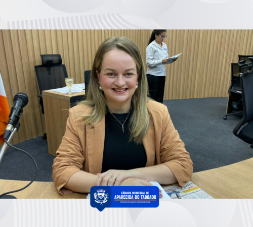 Dra. Amanda Tolentino solicita refor&ccedil;o na sinaliza&ccedil;&atilde;o vi&aacute;ria em cruzamentos da cidade