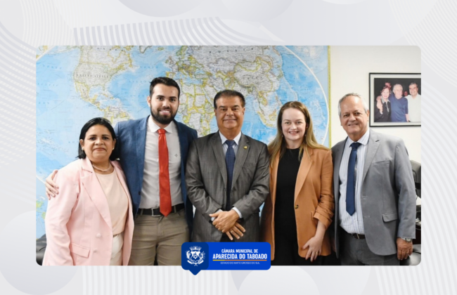 Vereadores se re&uacute;nem com Senador Nelsinho Trad para garantir investimentos em infraestrutura 