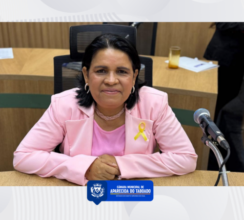 Patricia da Sa&uacute;de prop&otilde;e a&ccedil;&otilde;es para seguran&ccedil;a vi&aacute;ria, monitoramento e atendimento m&eacute;dico especializado