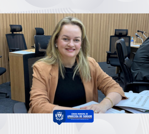 Dra. Amanda Tolentino prop&otilde;e melhorias no fornecimento de energia para polo industrial