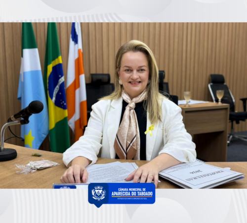 Dra. Amanda Tolentino apresenta indica&ccedil;&otilde;es para refor&ccedil;ar seguran&ccedil;a no tr&acirc;nsito e acessibilidade 