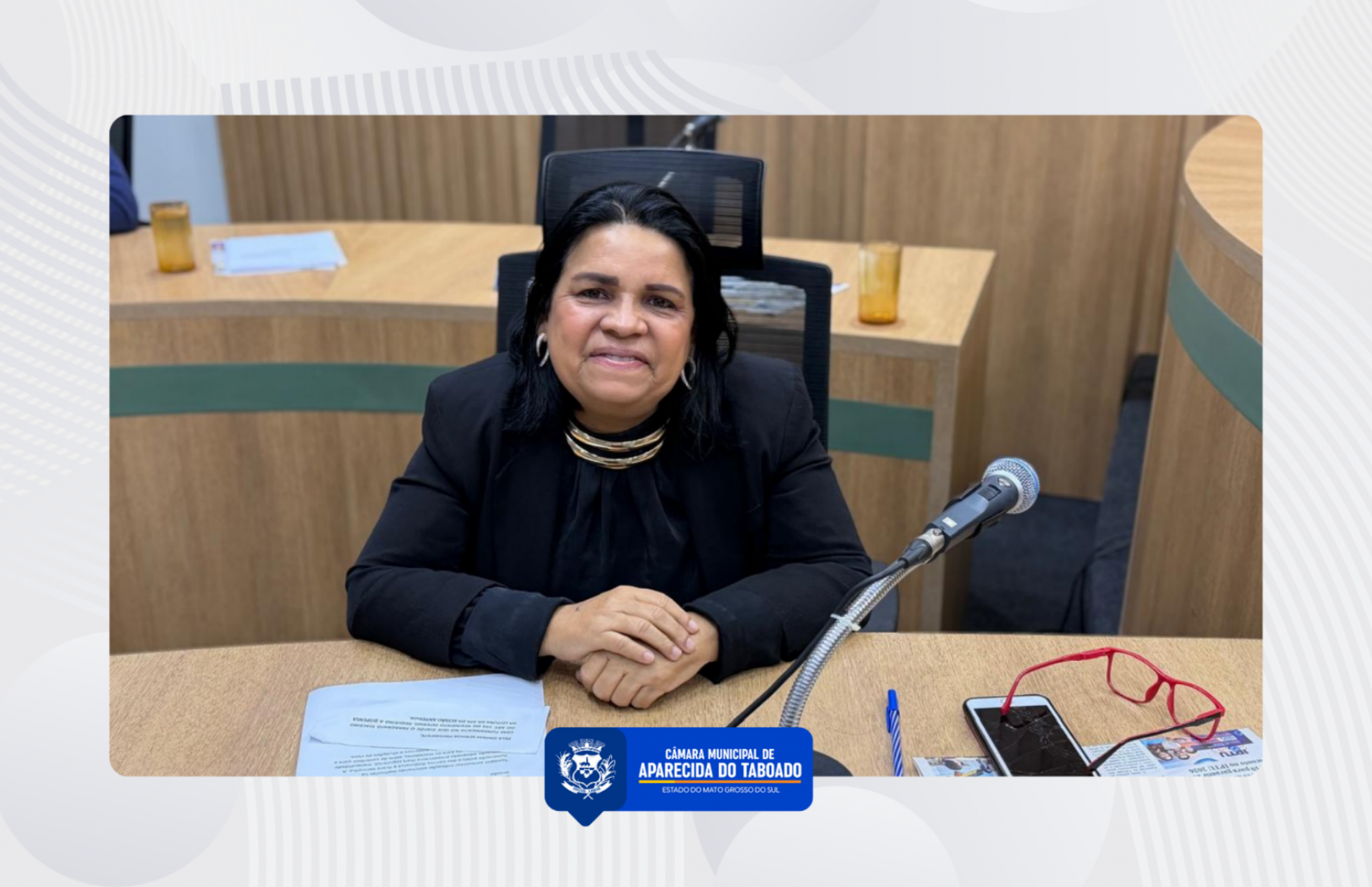 Patricia da Sa&uacute;de apresenta indica&ccedil;&otilde;es para apoio a tutores de animais e melhorias na ilumina&ccedil;&atilde;o p&uacute;blica
