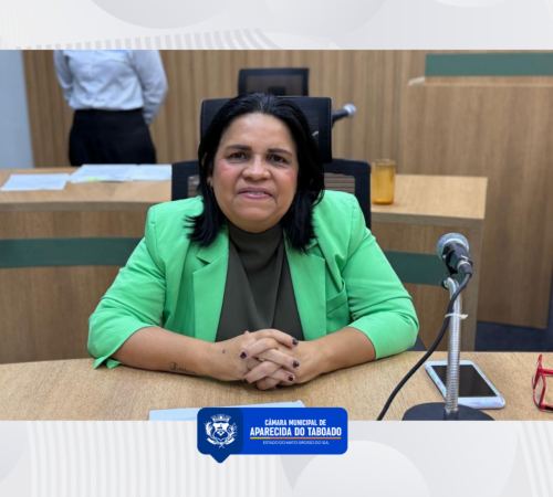 Patricia da Sa&uacute;de apresenta indica&ccedil;&otilde;es para moderniza&ccedil;&atilde;o da ilumina&ccedil;&atilde;o p&uacute;blica e amplia&ccedil;&atilde;o da acessibilidade em eventos municipais