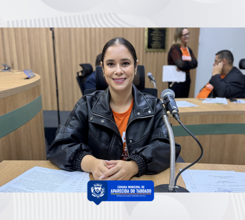 Amanda da Sa&uacute;de prop&otilde;e cria&ccedil;&atilde;o de programa de aten&ccedil;&atilde;o domiciliar &agrave; pessoa idosa