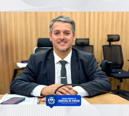 Vereador Ber Galter apresenta tr&ecirc;s indica&ccedil;&otilde;es voltadas &agrave; infraestrutura, arboriza&ccedil;&atilde;o e servi&ccedil;os p&uacute;blicos